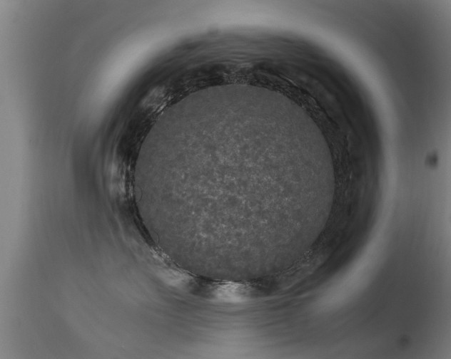 X0000113290527200909211106