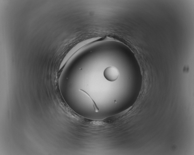 X0000113290528200909211106