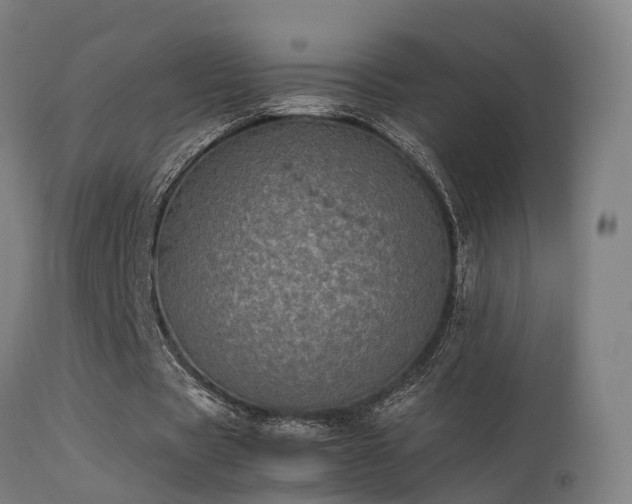 X0000113290529200909211105