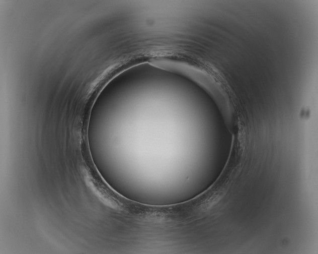 X0000113290530200909211105