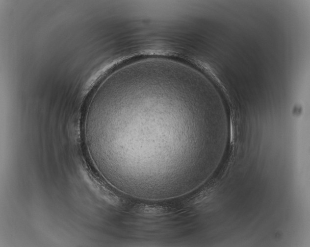 X0000113290531200909211106