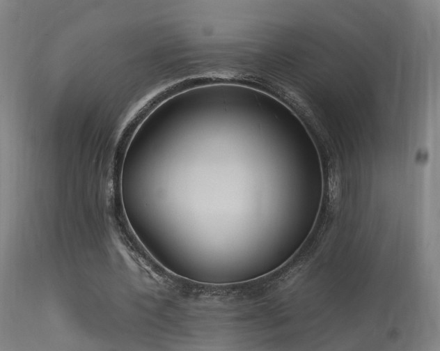 X0000113290532200909211106