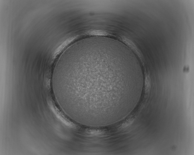 X0000113290533200909211106