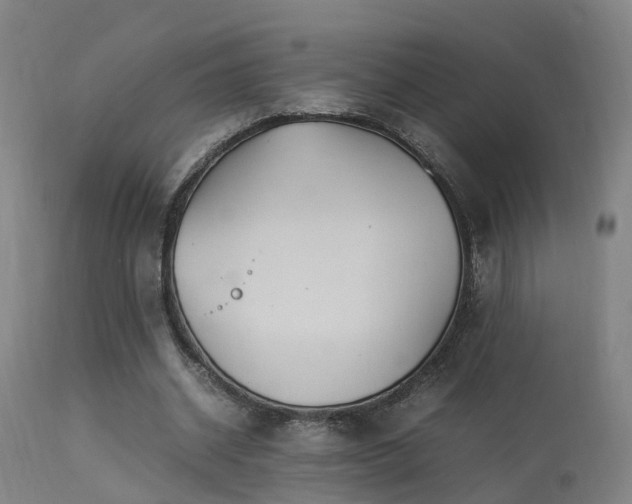 X0000113290534200909211106