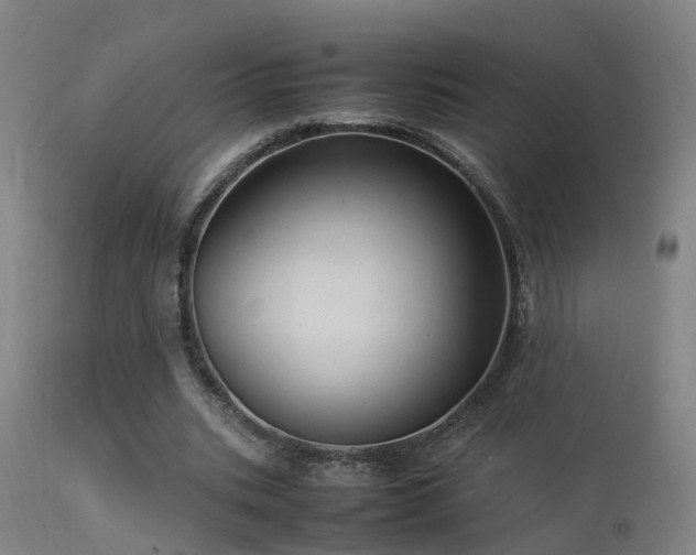 X0000113290535200909211106