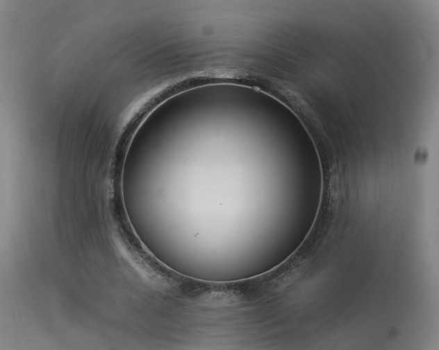 X0000113290536200909211106