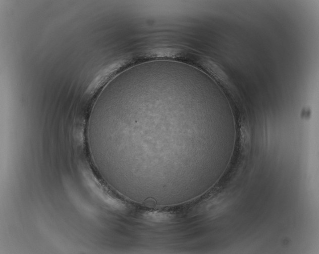 X0000113290537200909211106