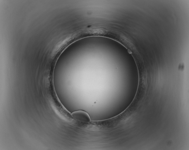 X0000113290538200909211106