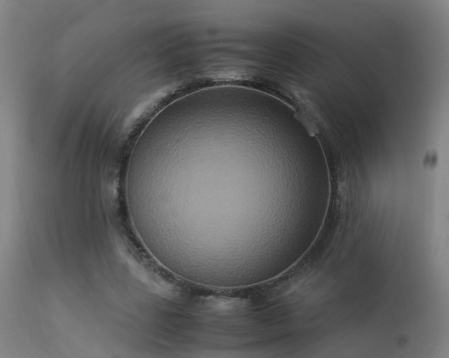 X0000113290539200909211106