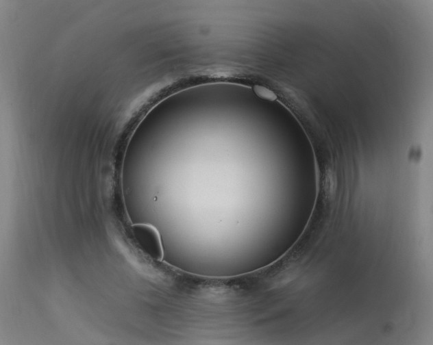 X0000113290540200909211106