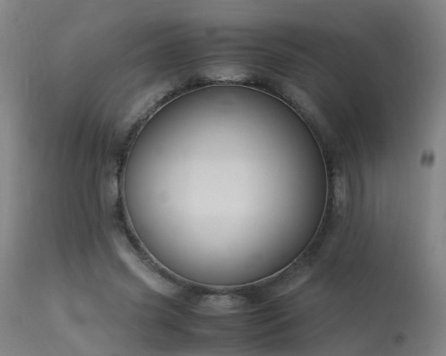 X0000113290541200909211106