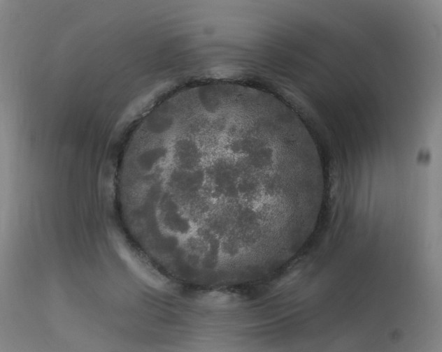 X0000113290542200909211106