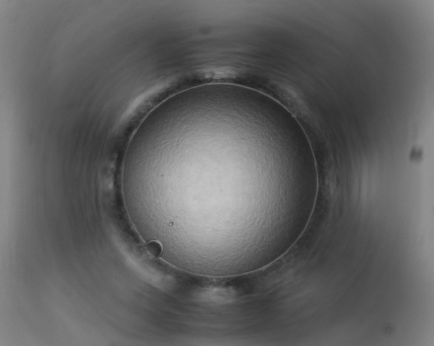 X0000113290543200909211106