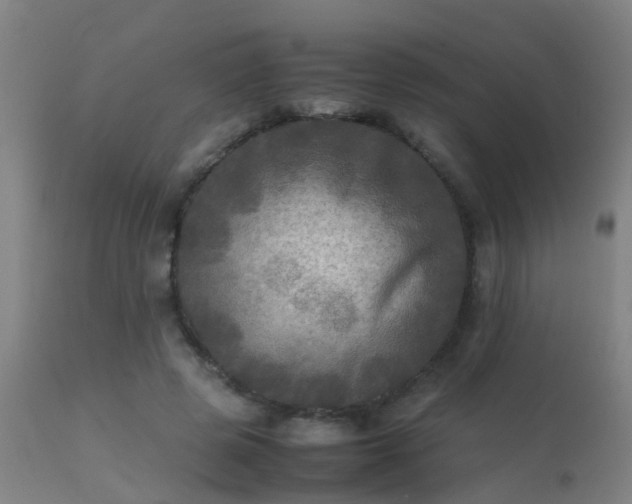 X0000113290545200909211106