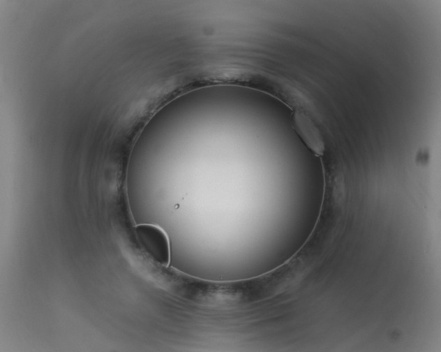 X0000113290546200909211106