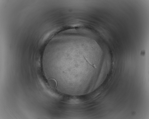 X0000113290547200909211106