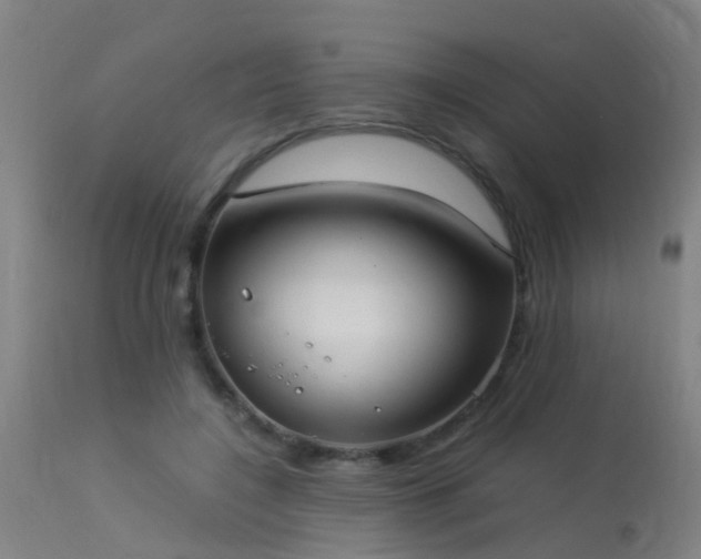 X0000113290548200909211106