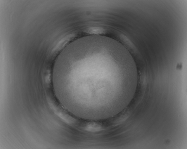 X0000113290549200909211106