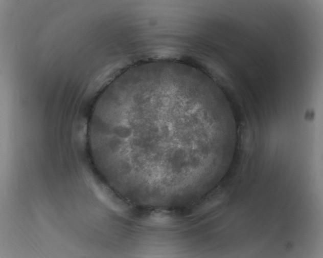 X0000113290550200909211106