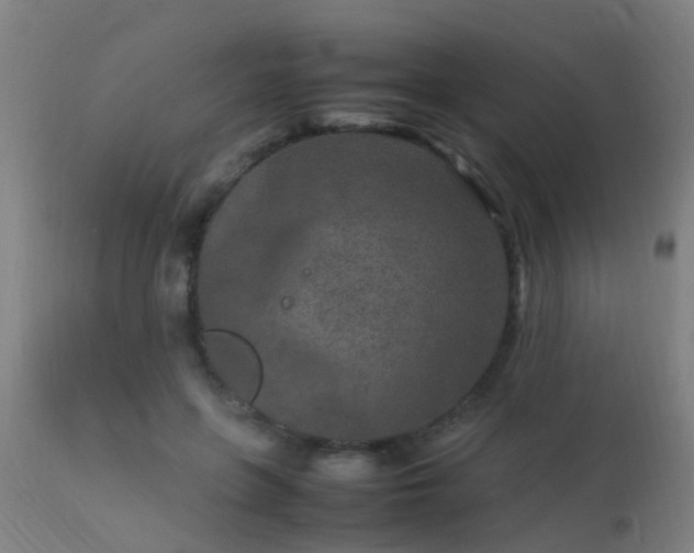 X0000113290551200909211106