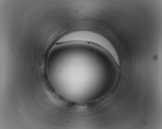 X0000113290552200909211106