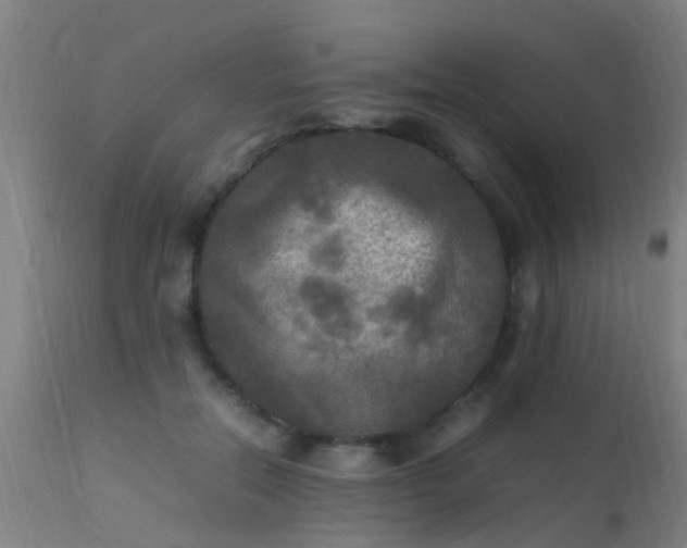 X0000113290554200909211106