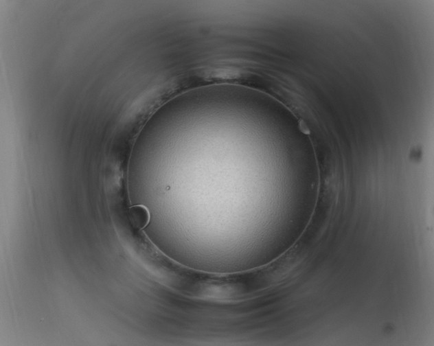 X0000113290555200909211106