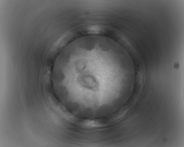 X0000113290557200909211106