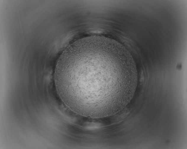 X0000113290559200909211106