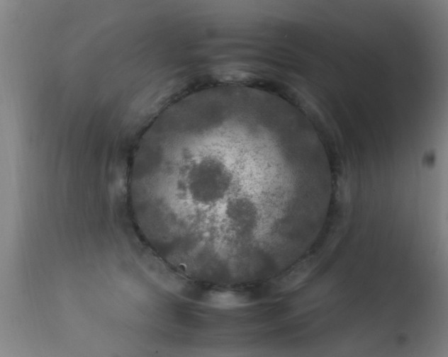 X0000113290561200909211106