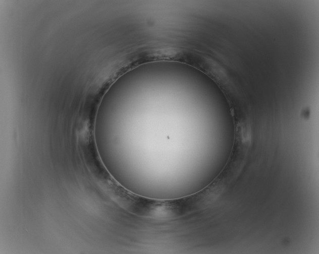 X0000113290564200909211106