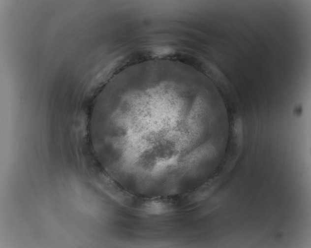 X0000113290565200909211106