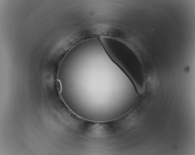 X0000113290566200909211106