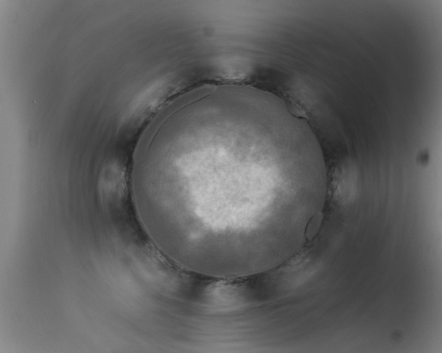 X0000113290568200909211106