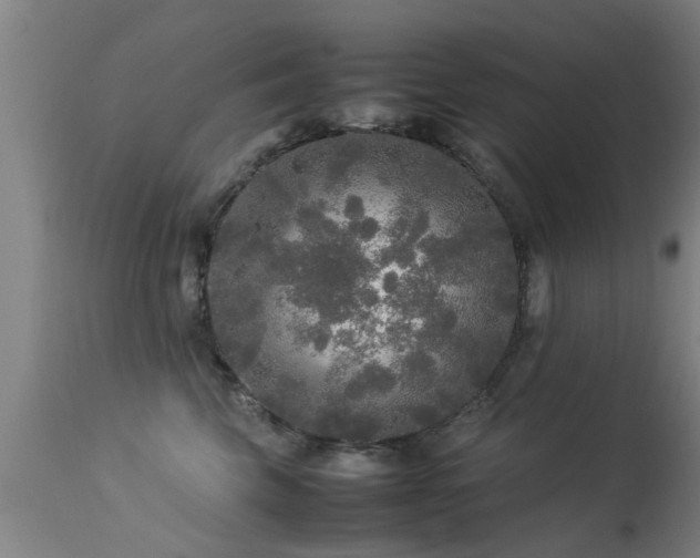 X0000113290569200909211106