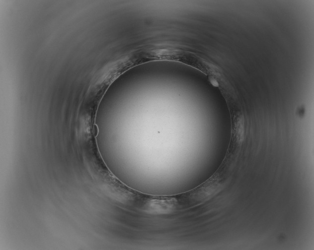 X0000113290571200909211106