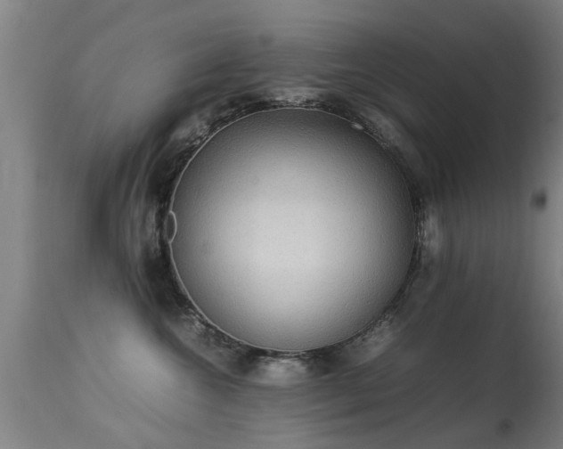 X0000113290572200909211106