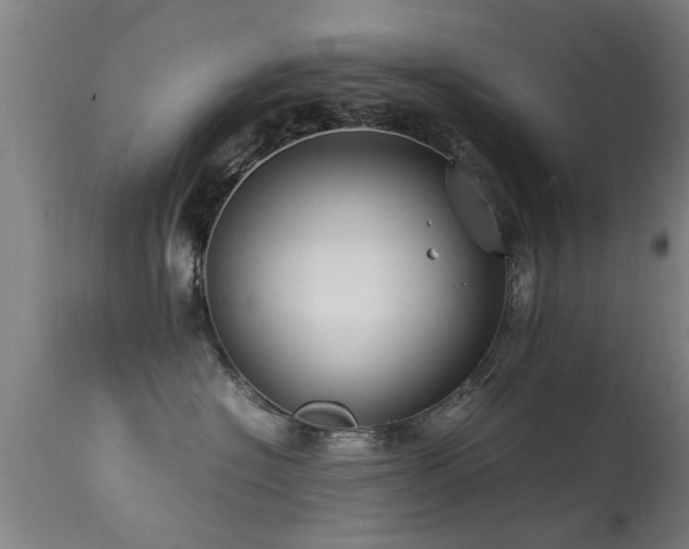 X0000113290574200909211106