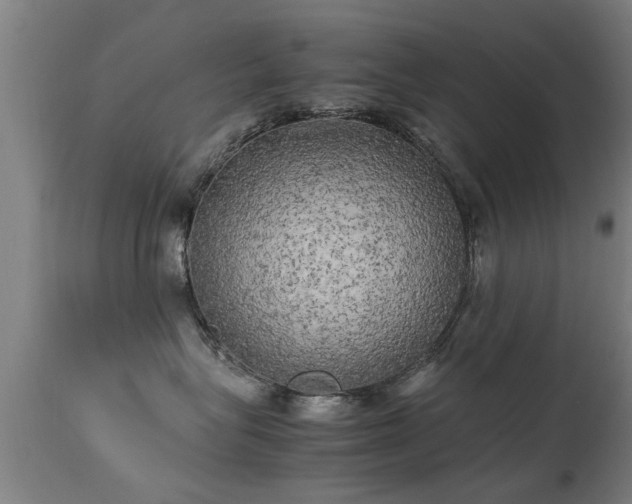 X0000113290575200909211106