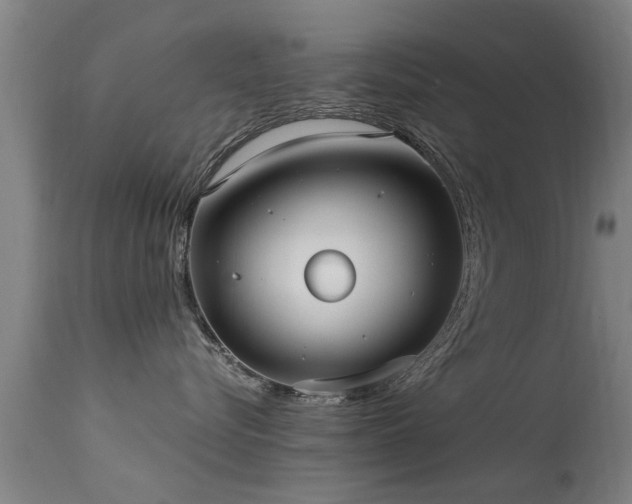 X0000113290576200909211106