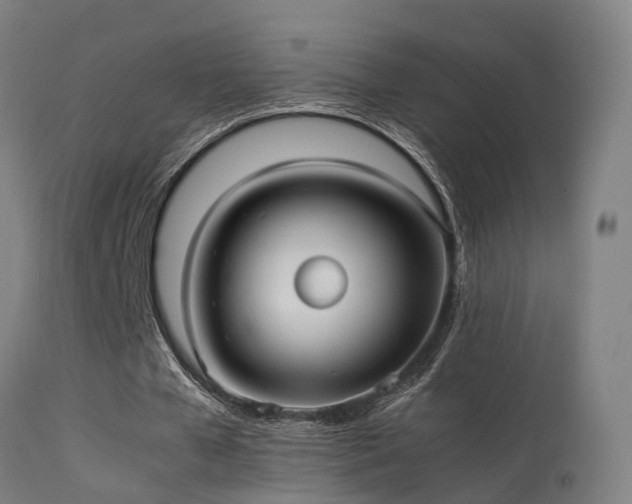 X0000113290577200909211105