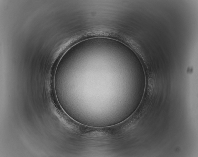 X0000113290578200909211105