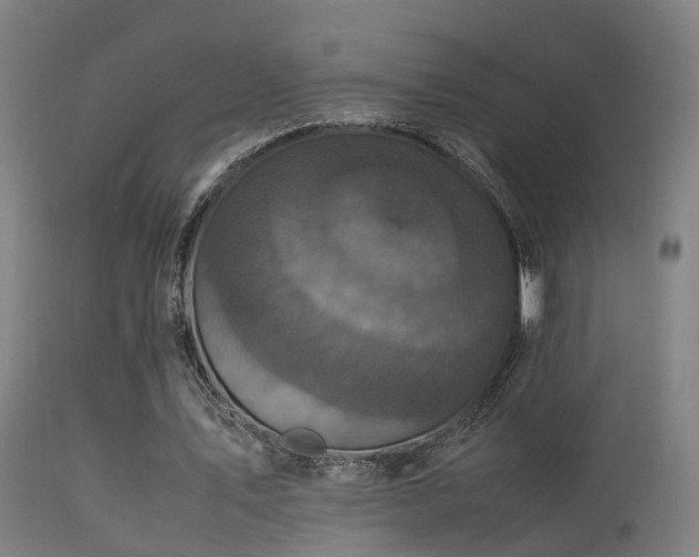 X0000113290579200909211105