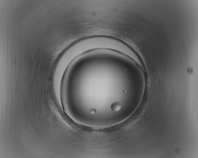 X0000113290581200909211105