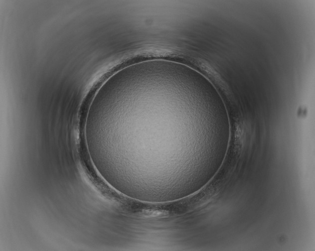 X0000113290582200909211105