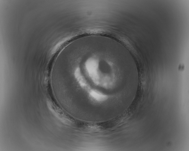 X0000113290583200909211105