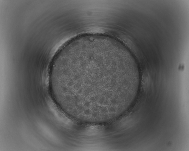 X0000113290584200909211105