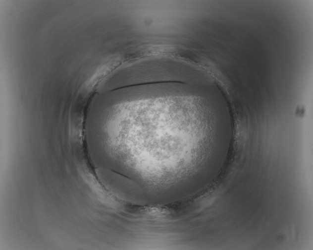 X0000113290585200909211105