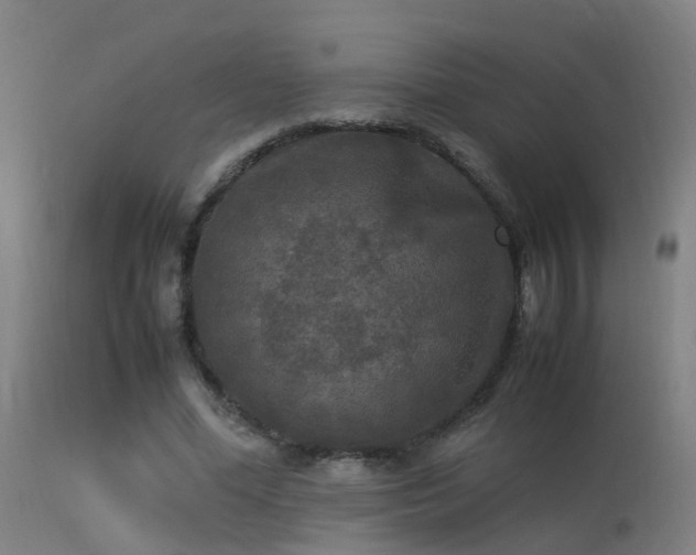 X0000113290588200909211105