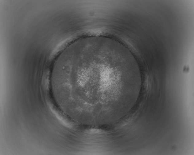 X0000113290590200909211105